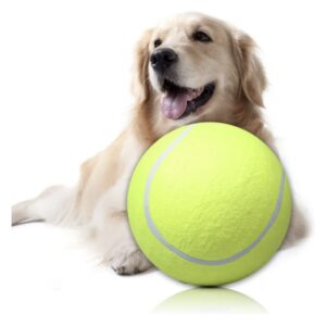 PELOTA TENIES GRANDE